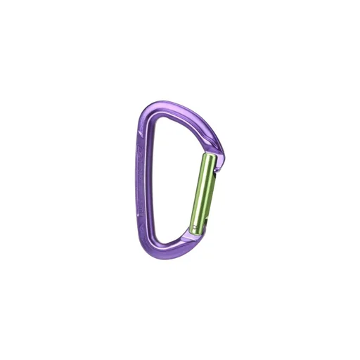 Karabinek Session Straight Gate green/purple Hit cenowy