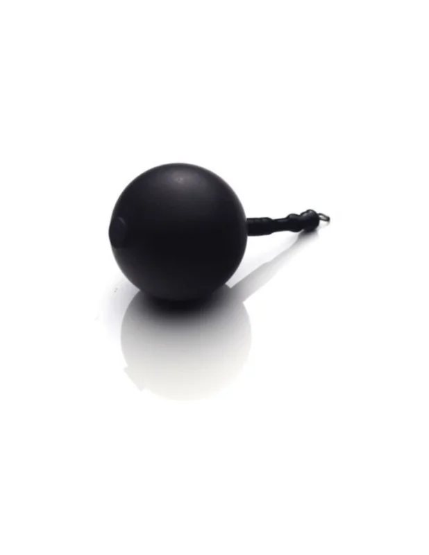 Bombka Bison Fishing Slow Sinking Bomb BLACK - XL / 30mm Szybka dostawa