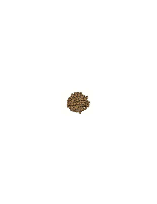 Pellet Aller Aqua Master 6mm Rabat
