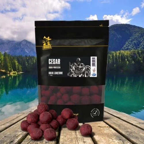 Kulki Zanętowe Invader Cesar 20mm / 800g - Squid / Porzeczka Darmowa dostawa