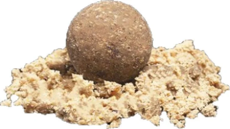 Kulki proteinowe NASH Scopex Squid Boilies 15mm 5kg Hit cenowy