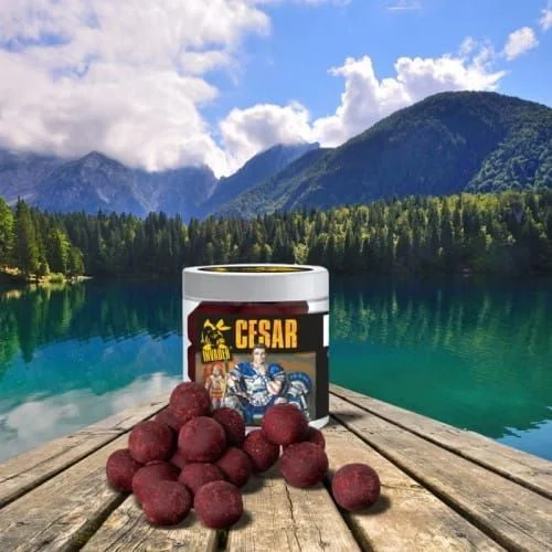 Kulki Haczykowe Invader Cesar 14x20mm / 250ml -Squid / Porzeczka Dostępne od ręki