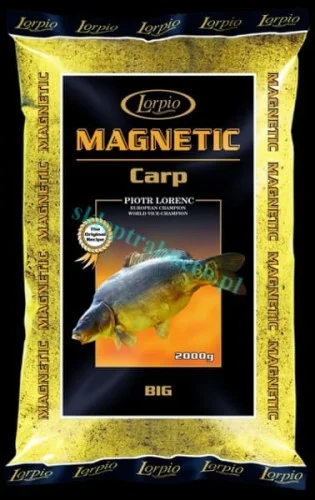 Kup teraz Lorpio Magnetic Carp Big