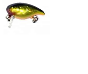 Jackall Wobler AreaMan 22S HL Gold Black Hit sprzedaży