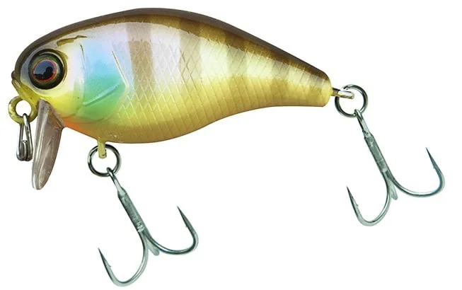 JACKALL wobler Chubby SSR 38F Noike Gill Szybka wysyłka