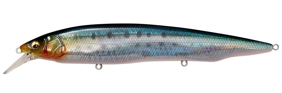 Bezpieczna płatność Megabass wobler Kanata AYU SW FA Iwashi Floating 16cm