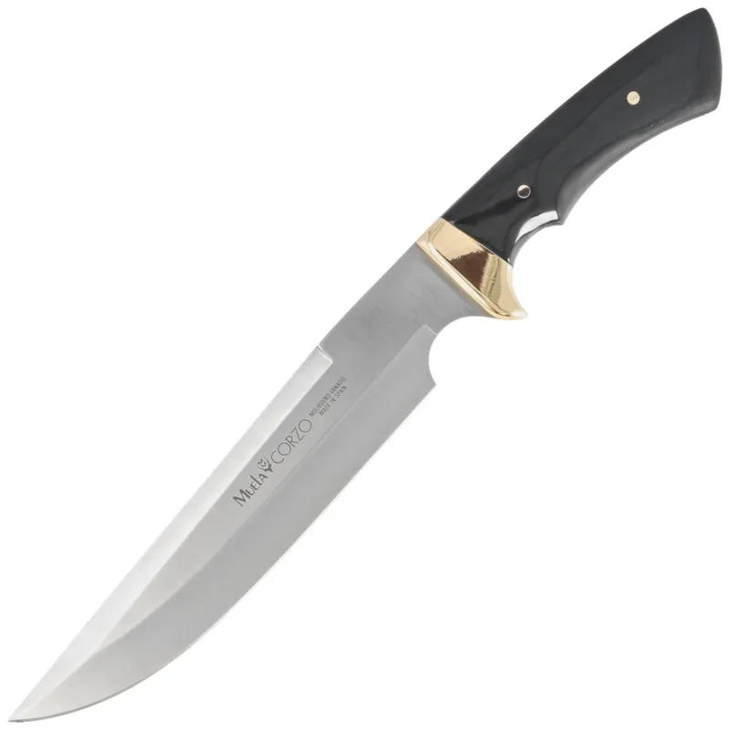 Szybka wysyłka Muela Corzo-22 Beech Wood Knife, Satin X50CrMoV15