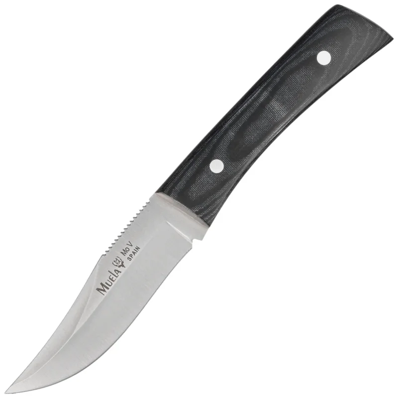 Nóż Muela BWE-8M Black Blue Canvas Micarta, Satin X50CrMoV15 Popularny