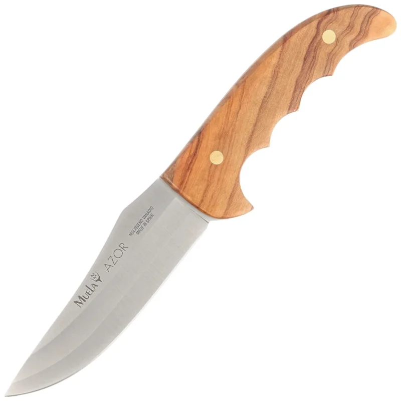 Ostatnia szansa Nóż Muela Azor-13OL Olive Wood, Satin X50CrMoV15