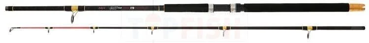 Nowość WĘDKA MIKADO CAT FISH 240cm 300g