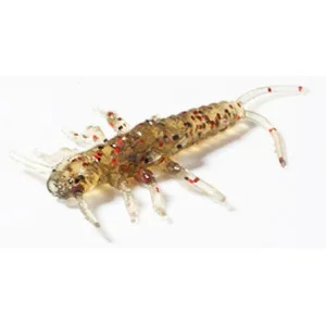 Darmowy zwrot Przynęta FISHUP Stonefly 0.75” 045 - Green Pumpkin/Red & Black