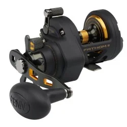 Multiplikator Penn Fathom II Star Drag 25N Reel Rabat