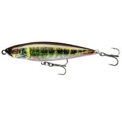 Wobler Daiwa Prorex Pencil Bait Floating 6,5cm/5,8g, Live Minnow Wybór klientów