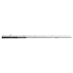 Wędka Daiwa Tournament SW AGS - 2,70m 14-42g Popularny