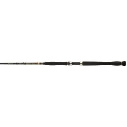 Wędka Penn Legion Cat Gold Inliner - 2,10m do 250g Kup teraz