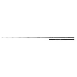 Tylko dziś Wędka Daiwa Saltiga Light Game - 2,40m 40-110g