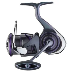 Niska cena Kołowrotek Daiwa 25 Prorex MQ LT 4000D-C