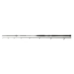 Wędka Daiwa Powermesh Catfish Boje - 2,70m 150-400g Popularny