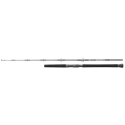 Wędka Daiwa Saltiga Jigging - 1,70m 150-300g Darmowy zwrot