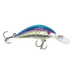 Zamów teraz Wobler Salmo Hornet Floating 4cm/3g, Wild Barney