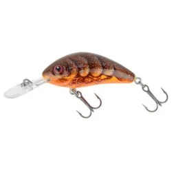 Sprawdź teraz Wobler Salmo Rattlin Hornet Floating 4,5cm/6g, Pumpkin Craw