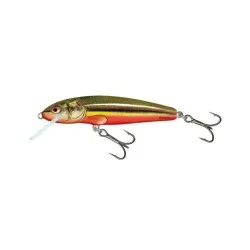 Wyprzedaż Wobler Salmo Minnow Sinking 6cm/6g, Rainbow Dace