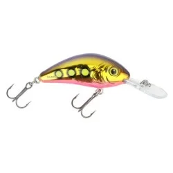 Wobler Salmo Rattlin Hornet Floating 3,5cm/3,1g, Gold Beast Super okazja