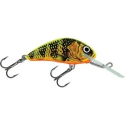 Zamów dziś Wobler Salmo Hornet Floating, Gold Fluo Perch
