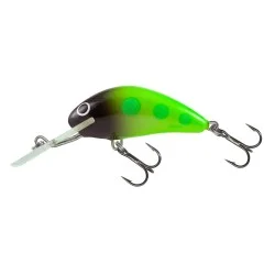 Ekspresowa dostawa Wobler Salmo Hornet Floating, Green Machine