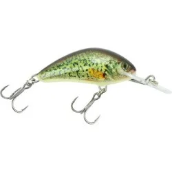 Wobler Salmo Hornet Floating, Real Crappie Najlepsza cena