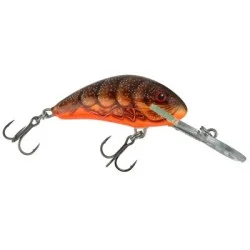 Zamów teraz Wobler Salmo Hornet Floating 4cm/3g, Pumpkin Craw